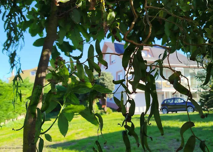 Апартаменты Casa Completa - Camino Dos Faros - Atlantico Мальпика